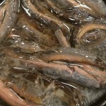 どぜう飯田屋 - 