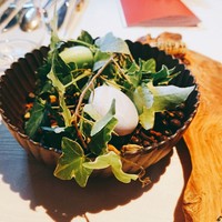 ヒカリヤ ニシ - 