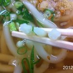 讃岐うどん 上原屋本店 - 2012.1.12(木)14時 釜揚げ湯抜きで、かけ大320円！(◎_◎;)美味しすぎ！