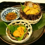 蓬左茶寮 - ガゼ食べ比べ 愛知師崎ムラサキ 岩手バフン