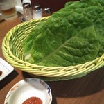 美勝 - チシャバ✕１