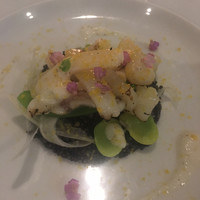 カーザ ヴィニタリア - 