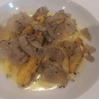 カーザ ヴィニタリア - 