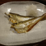 魚菜 - 刺身入りおまかせ３千円コース