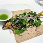 レフェルヴェソンス - 