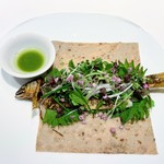 レフェルヴェソンス - 