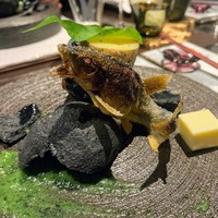 日本料理 TOBIUME - 