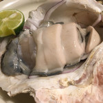 れんげ料理店 - 刺し盛りの岩牡蠣