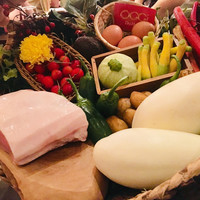 オッジ ダルマット 西麻布店 - 