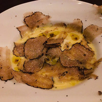 オッジ ダルマット 西麻布店 - 