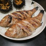 辰美寿し - のどぐろ焼き