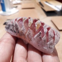 紀尾井町 三谷 - 鯵