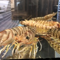 やさいや 鉄板焼野菜 赤坂店 - 