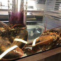 やさいや 鉄板焼野菜 赤坂店 - 