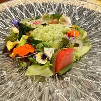 オルト - 菜園