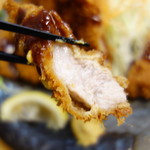 Echigo Tonkatsu Ninjintei - 