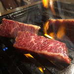 肉の変態集団 疾風ホルモン - 焼いたらわかります！