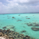 肉の変態集団 疾風ホルモン - ENDポイント