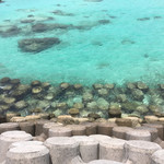 肉の変態集団 疾風ホルモン - ENDポイント