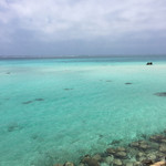 肉の変態集団 疾風ホルモン - ENDポイント