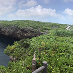 肉の変態集団 疾風ホルモン - 通り池ちょいパノラマ