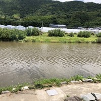 飴源 - 