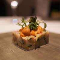 カンテサンス - 15