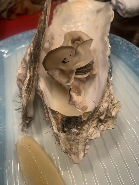 月夜のたぬき つきよのたぬき すすきの 市営 居酒屋 ネット予約可 食べログ 月夜のたぬき つきよのたぬき すすきの 市営 居酒屋 ネット予約可 食べログ