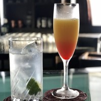 スターゲイト - テキーラサンライズとジントニックだったかな？