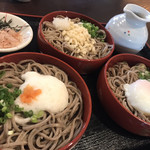 Soba Dokoro Tanakaya - 三色蕎麦