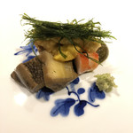 馳走 啐啄一十  - 