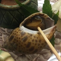 割烹 やました - 
