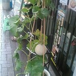 深大寺門前そば - 