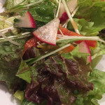 Tempters Pizza+Bar - 【'19.3】三浦野菜のグリーンサラダ