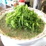 庵 - ネギラーメン(大) 850yen