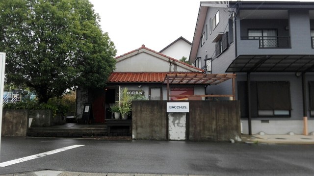 バッカス Bacchus 成岩 ダイニングバー 食べログ