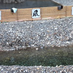 あしたの森 - 川に鴨。。寒くて近寄れずお部屋の窓から（＾＾；