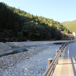 あしたの森 - 川沿い1本道沿い。。