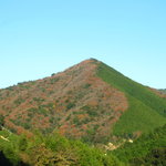 あしたの森 - 紅葉が綺麗（＾＾）ｖ