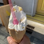 ジェラテリア フルーツラボラトリー - 