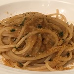 Torattoriaamarufitana - 