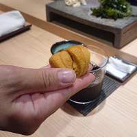 五反田鮨 SUSHI TOKYO 81 - ムラサキウニ