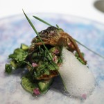 鮎炭火焼き　鮎塩での胡瓜浅漬けと肝のリエット　ハーブの泡　大葉