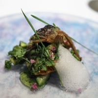 レストランエール - 鮎炭火焼き　鮎塩での胡瓜浅漬けと肝のリエット　ハーブの泡　大葉