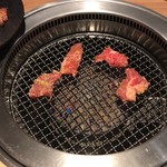 Gyuu kaku - 