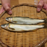 日本料理 太月 - 