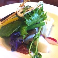 ろあん松田 篠山店 - 旬野菜のサラダ