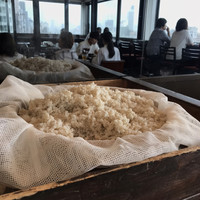 浅草むぎとろ 本店 - 