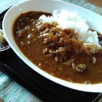 ログハウス喫茶 百笑 - 料理写真:鹿肉カレー（サラダ、薬草茶つき）