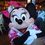 ポリネシアンテラス レストラン - キャラクターグリーティング